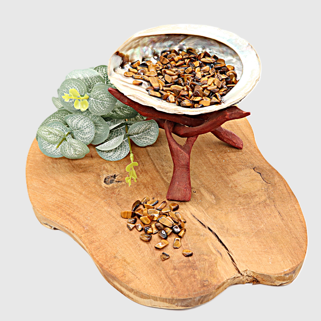 Abalone schelp met tijgeroog goud