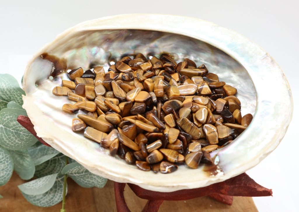 Abalone schelp met tijgeroog goud