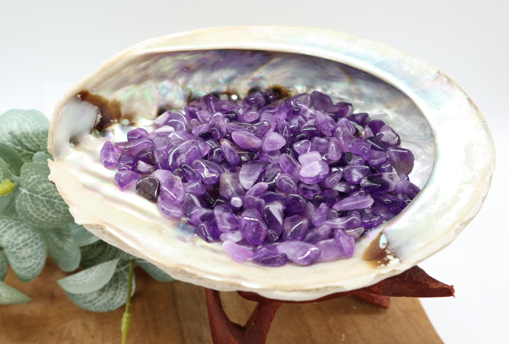 Abalone schelp met amethist
