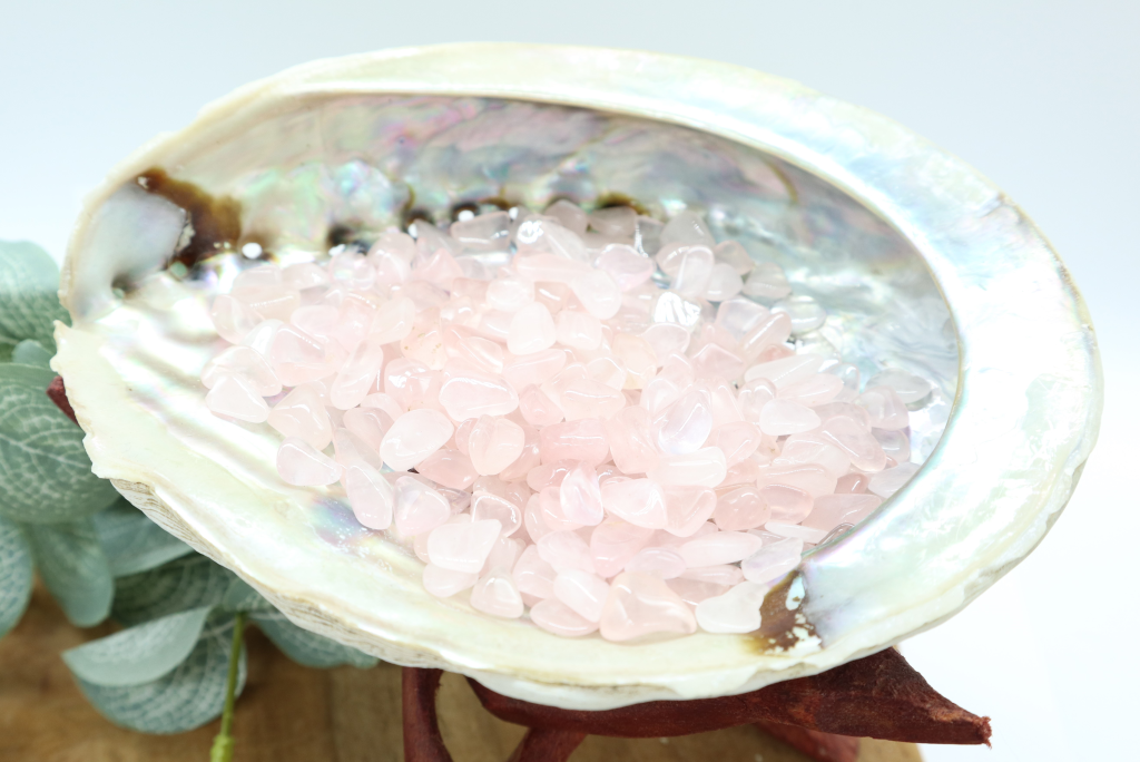 Abalone schelp met roze kwarts
