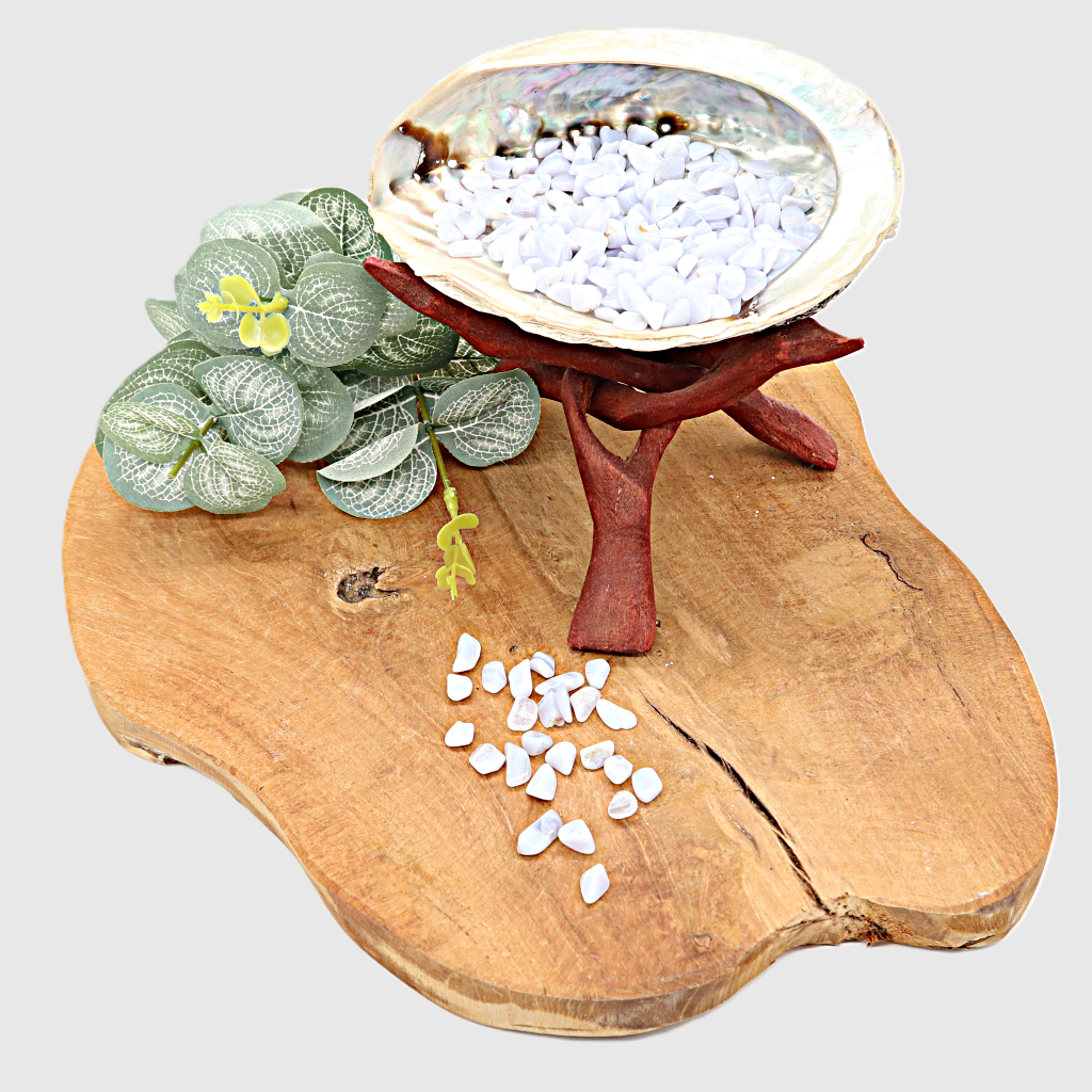 Abalone schelp met chalcedoon