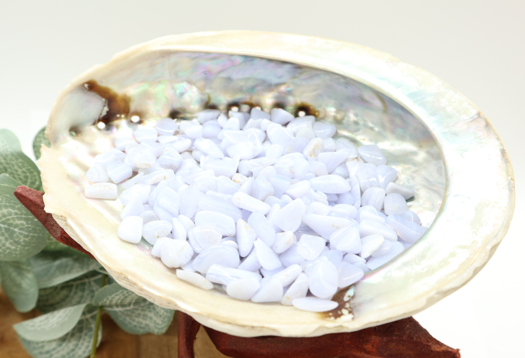 Abalone schelp met chalcedoon