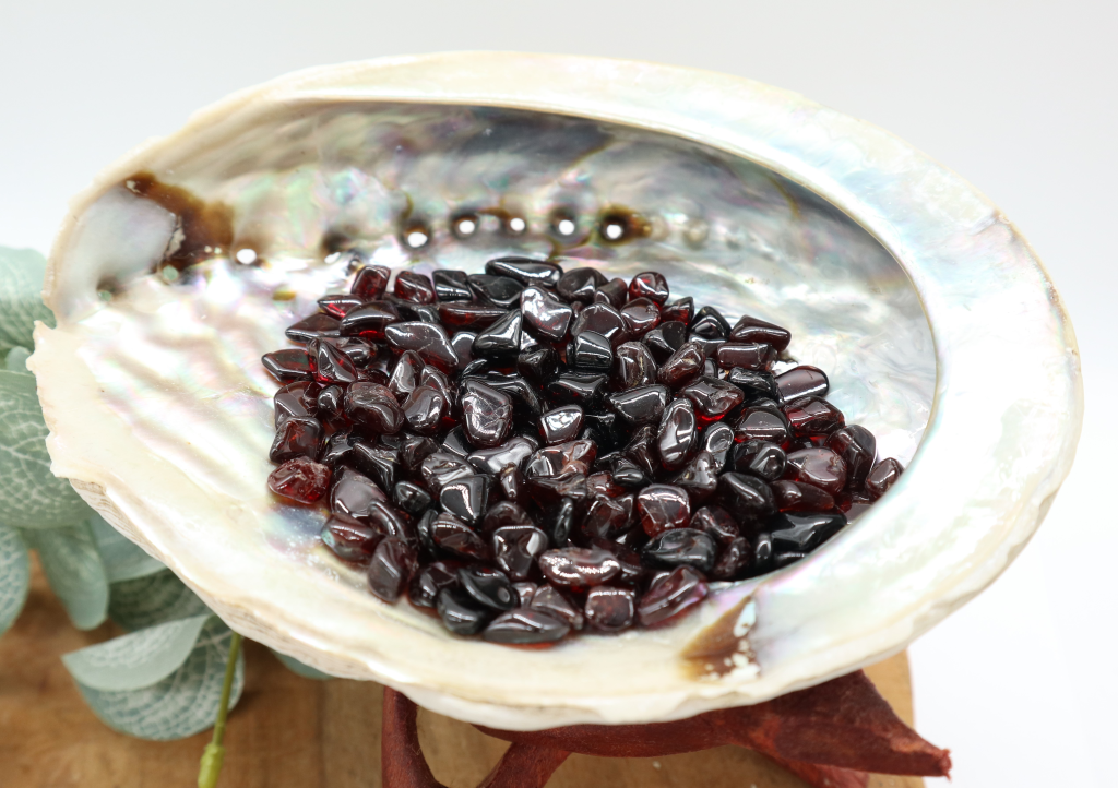 Abalone schelp met granaat