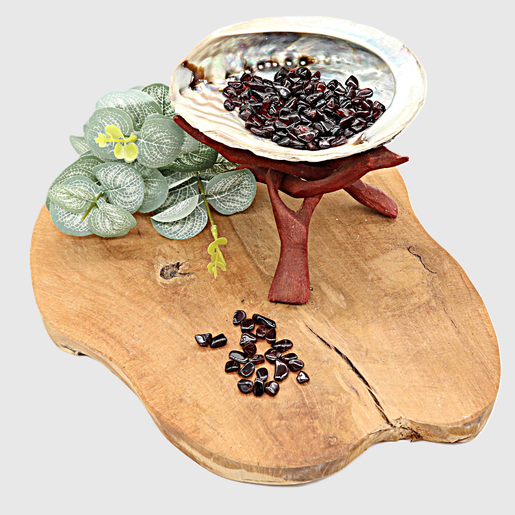 Abalone schelp met granaat