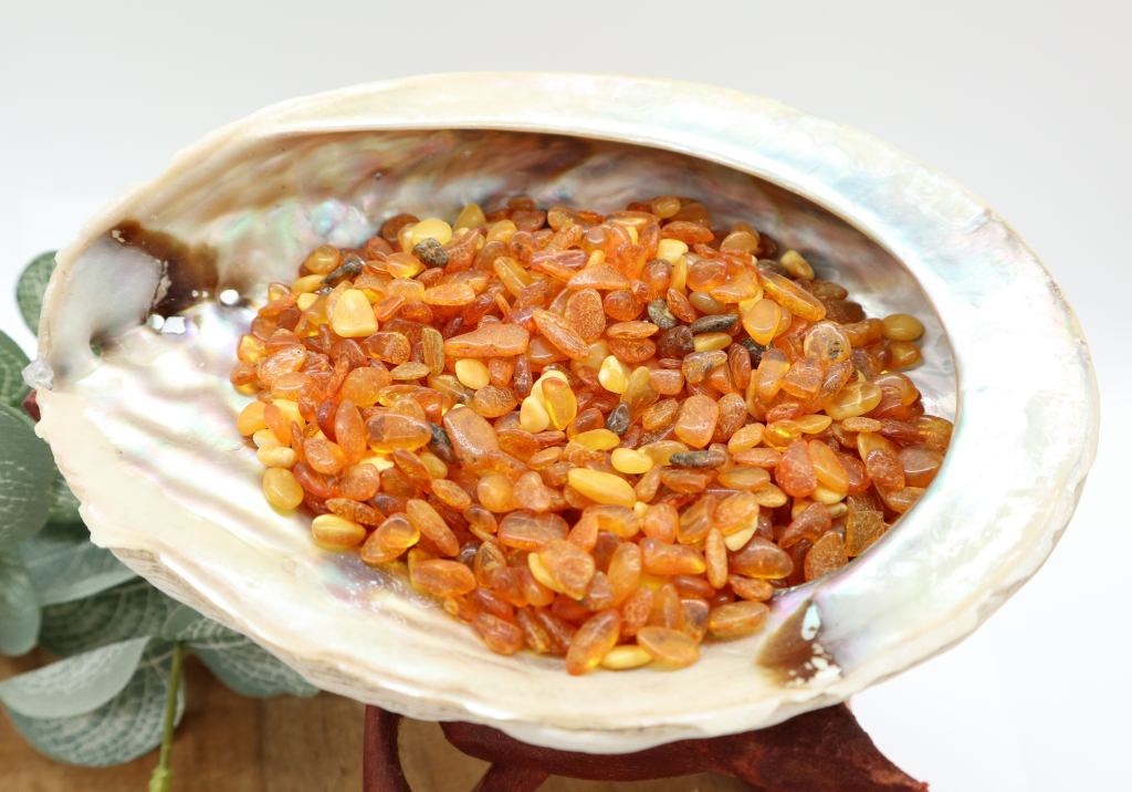 Abalone schelp met barnsteen