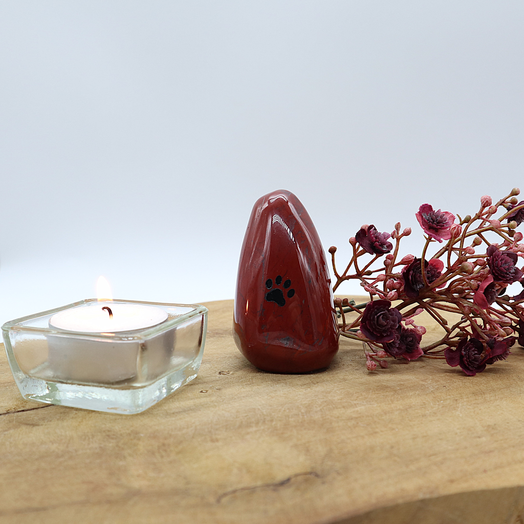 Edel-gedenk-steen rode jaspis staand kattenpootje