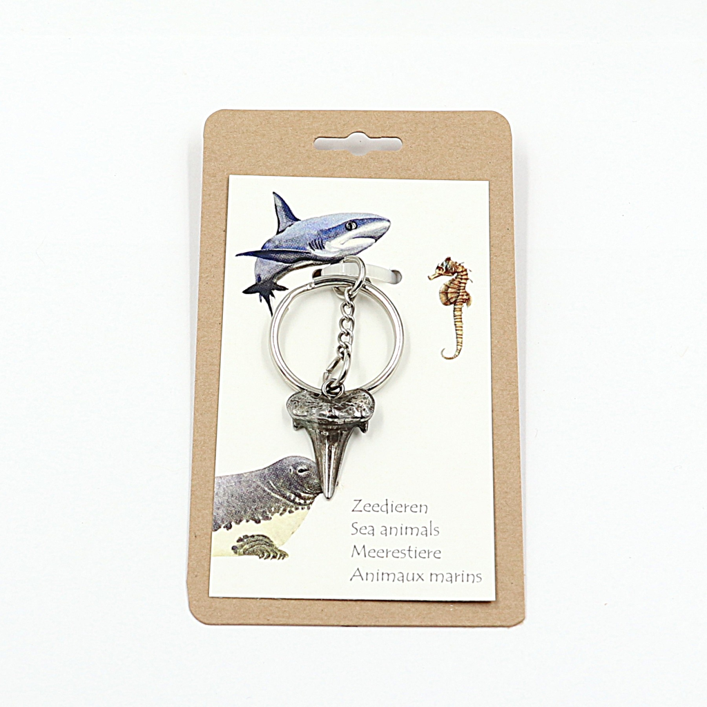 Haaientand (metaal) sleutelhanger