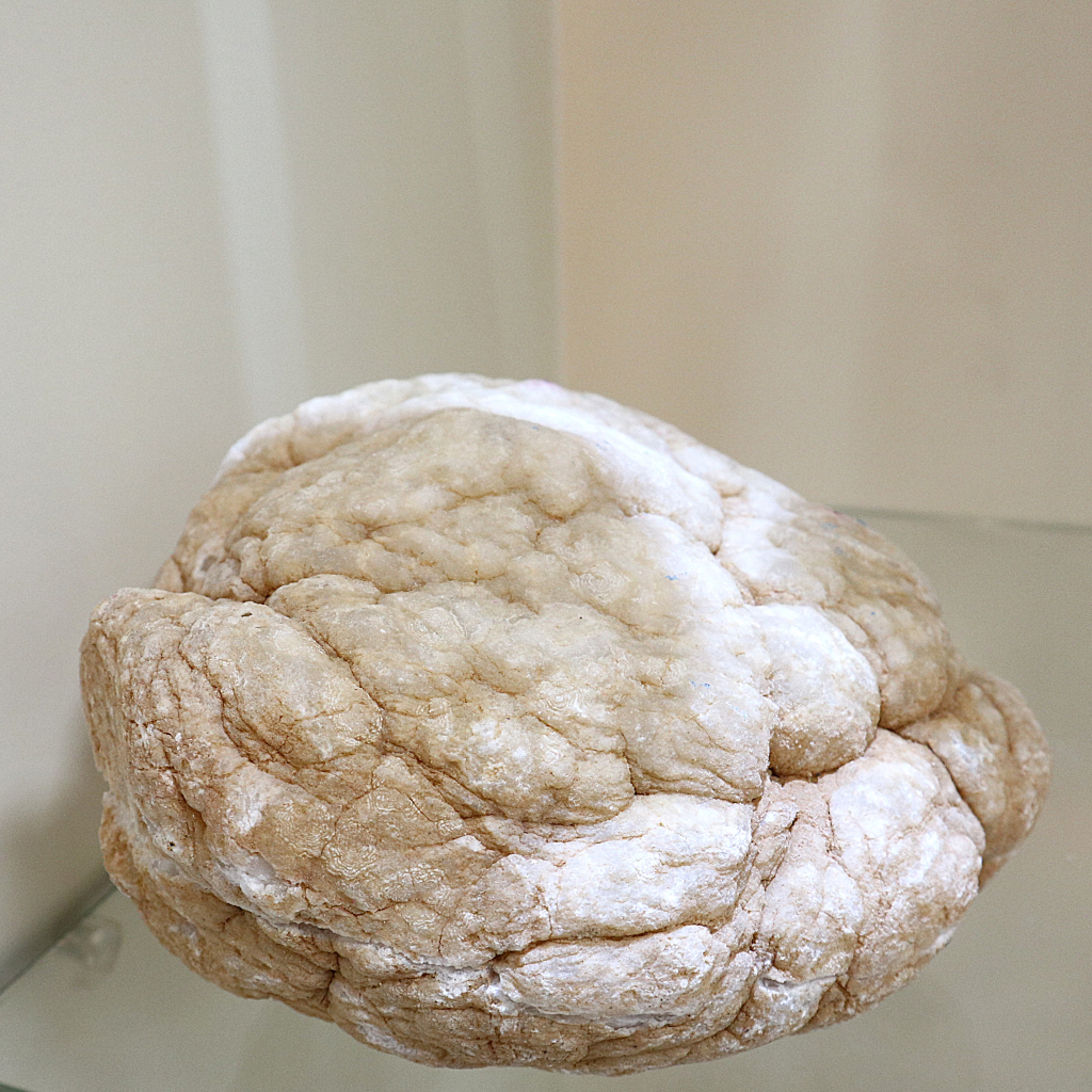 Geode paar XL