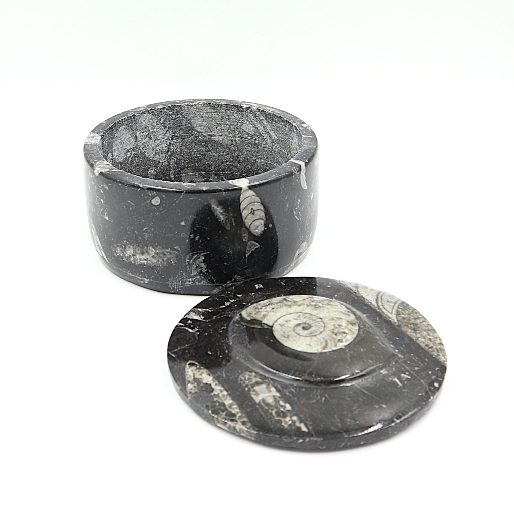 Box Orthoceras en Goniatiet Ø 10 cm