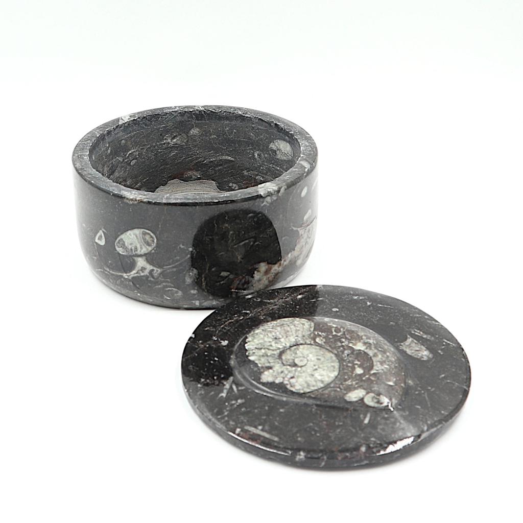 Box Orthoceras en Goniatiet Ø 10 cm