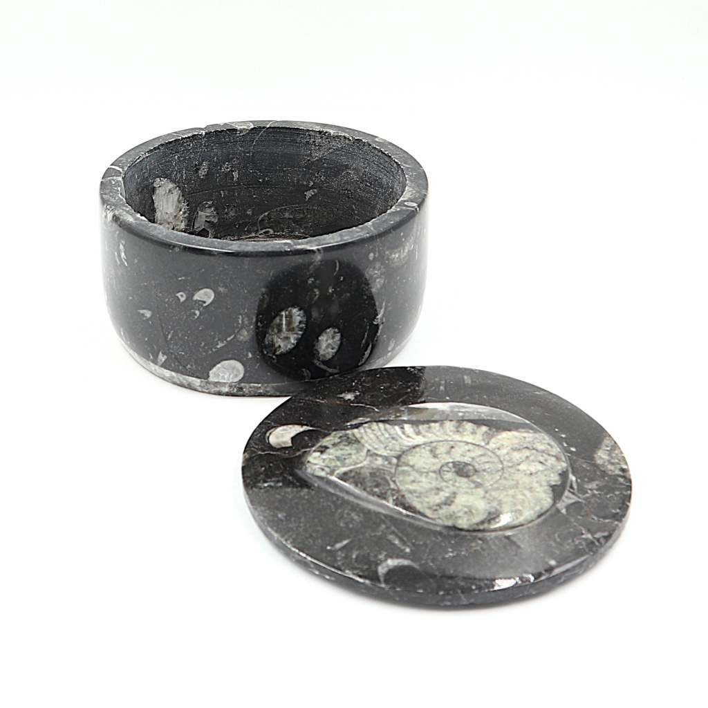 Box Orthoceras en Goniatiet Ø 10 cm
