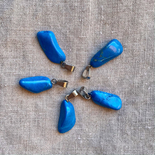 Howliet Blauw (gekleurd)