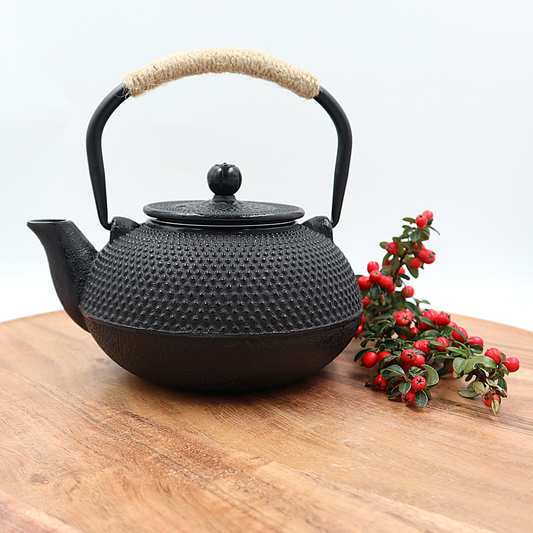 Tetsukyusu geëmailleerde theepot zwart 0,6 liter