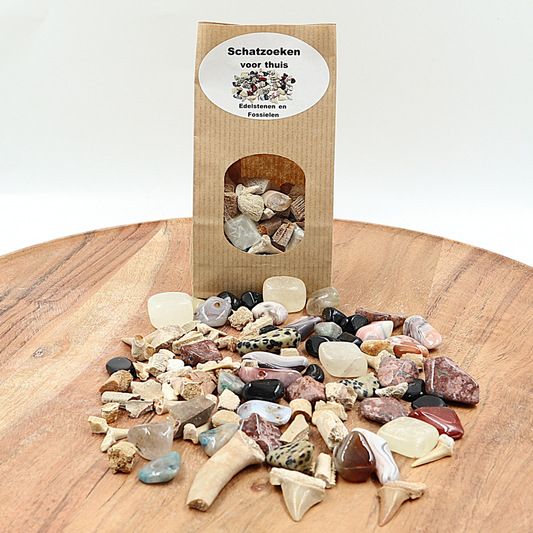 Edelstenen & Fossielen