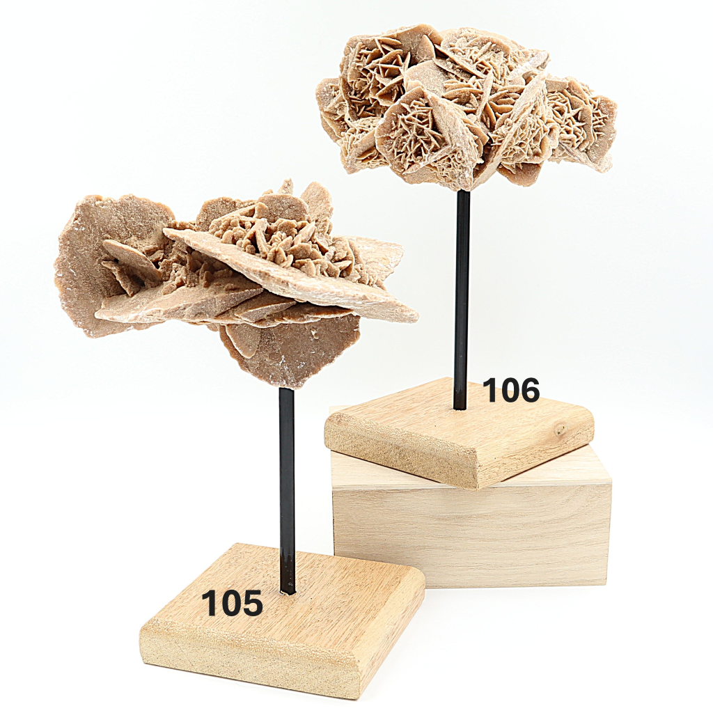 Woestijnroos op standaard