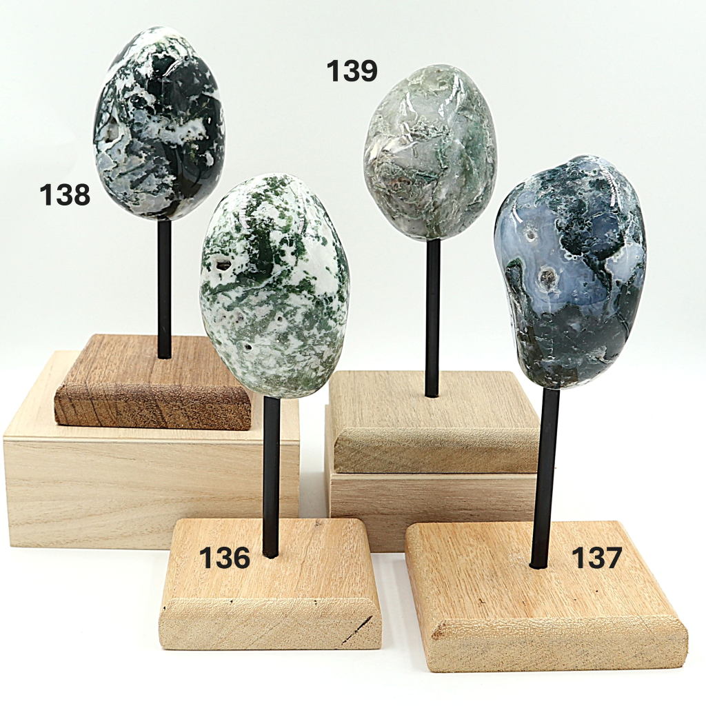 Boomagaat op standaard