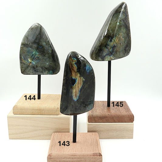 Labradoriet op standaard