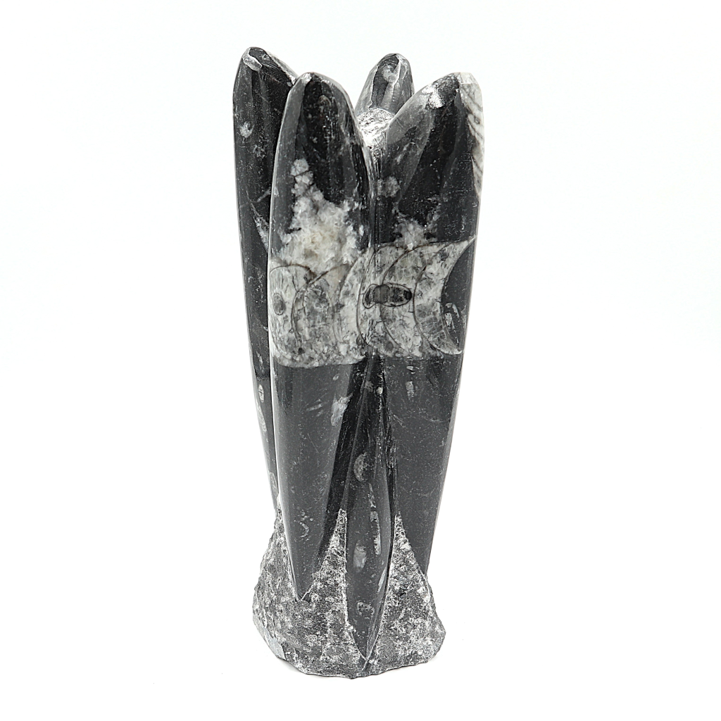 Orthoceras sculptuur