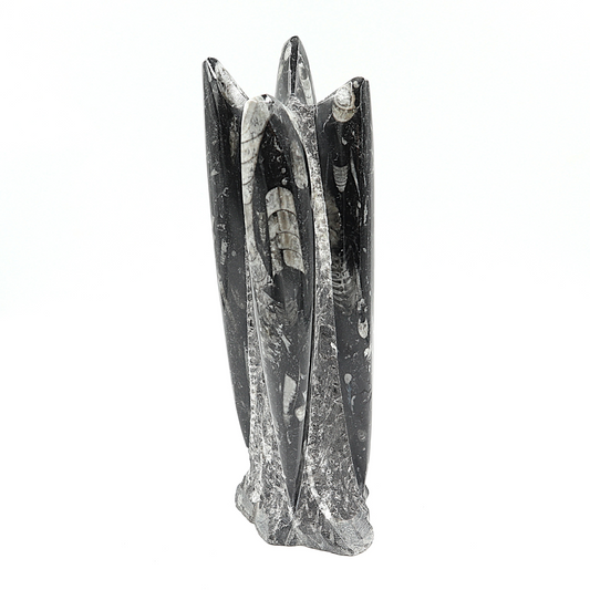 Orthoceras sculptuur