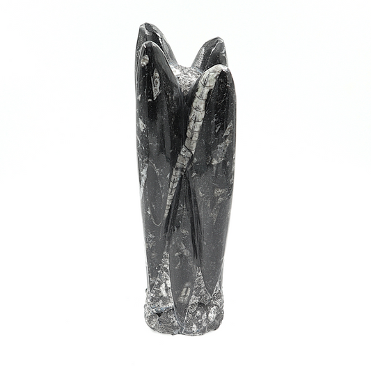 Orthoceras sculptuur