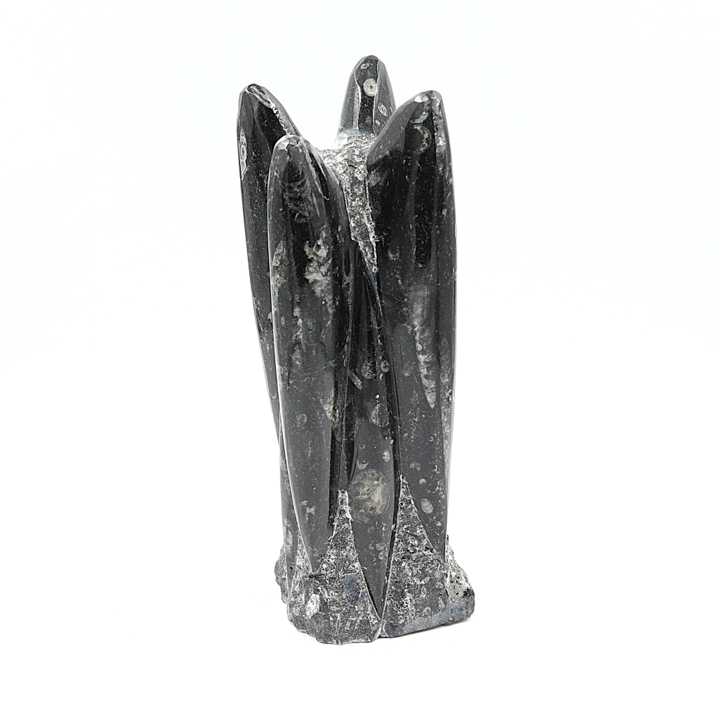 Orthoceras sculptuur