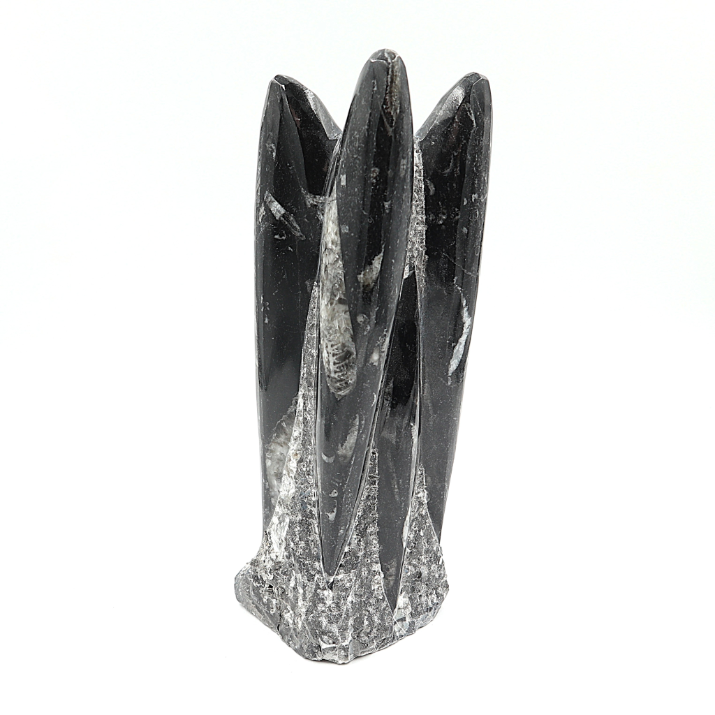 Orthoceras sculptuur