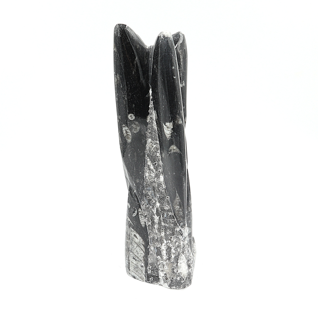 Orthoceras sculptuur