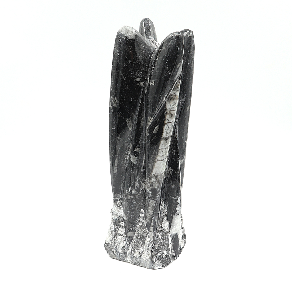 Orthoceras sculptuur