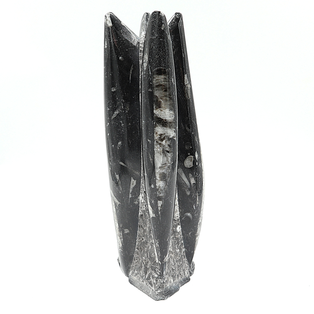 Orthoceras sculptuur