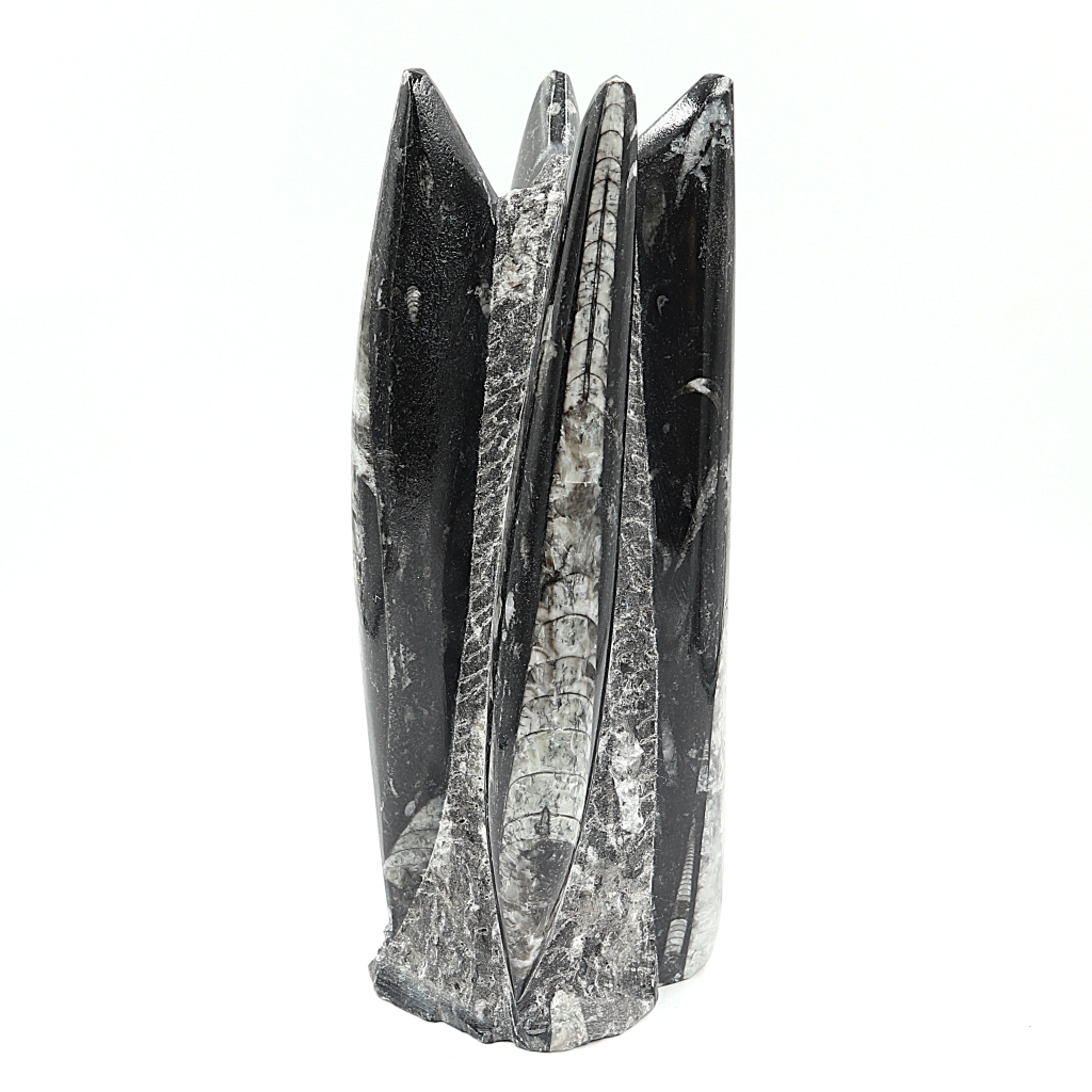 Orthoceras sculptuur