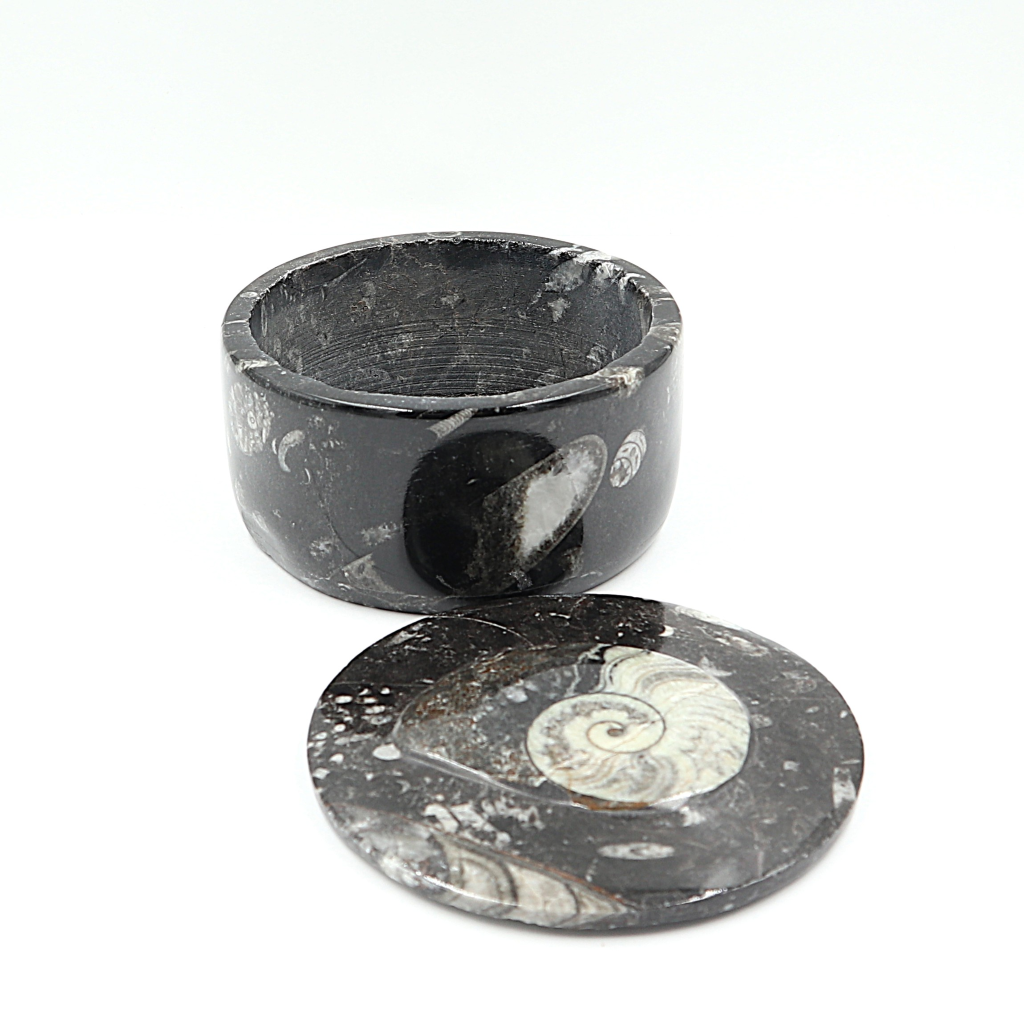 Box Orthoceras en Goniatiet Ø 10 cm