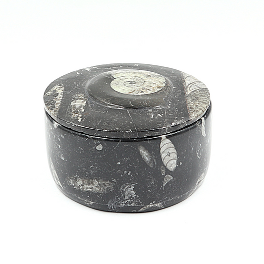 Box Orthoceras en Goniatiet Ø 10 cm