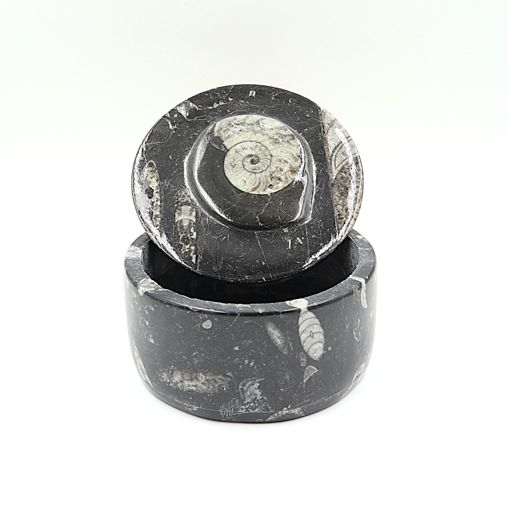Box Orthoceras en Goniatiet Ø 10 cm