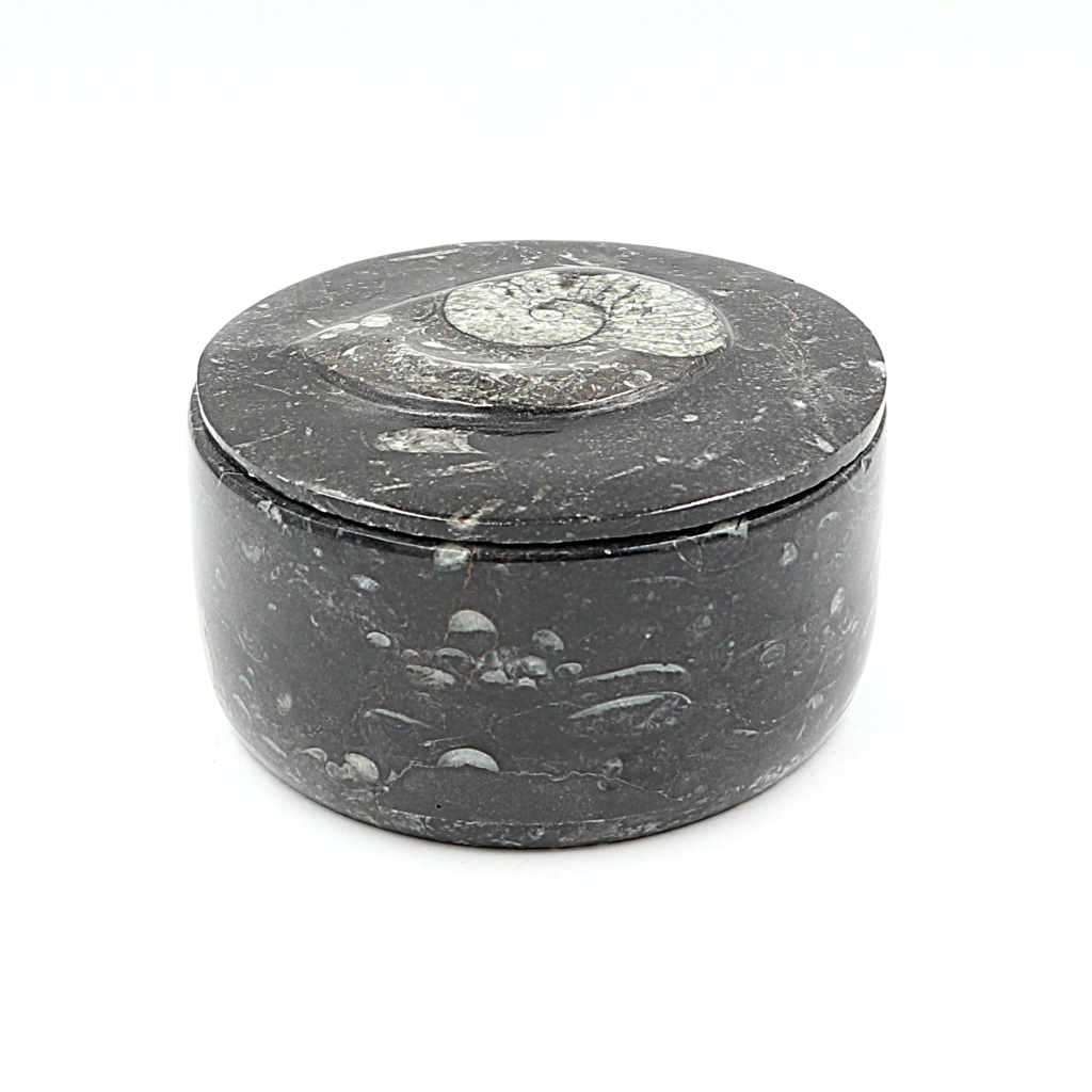 Box Orthoceras en Goniatiet Ø 10 cm