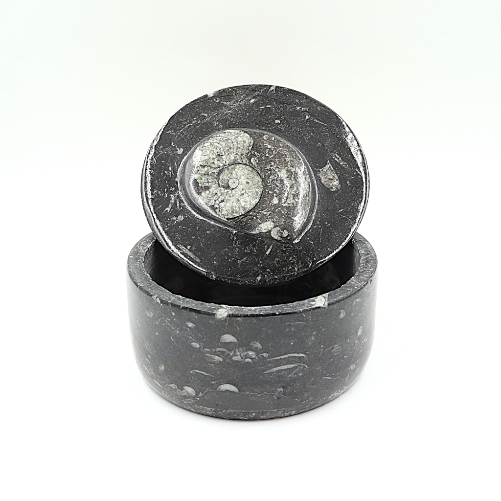 Box Orthoceras en Goniatiet Ø 10 cm