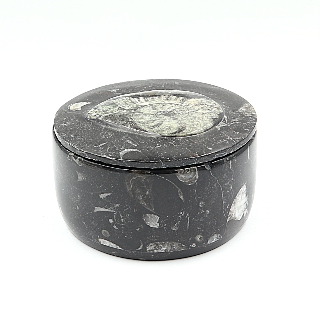 Box Orthoceras en Goniatiet Ø 10 cm