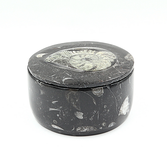 Box Orthoceras en Goniatiet Ø 10 cm