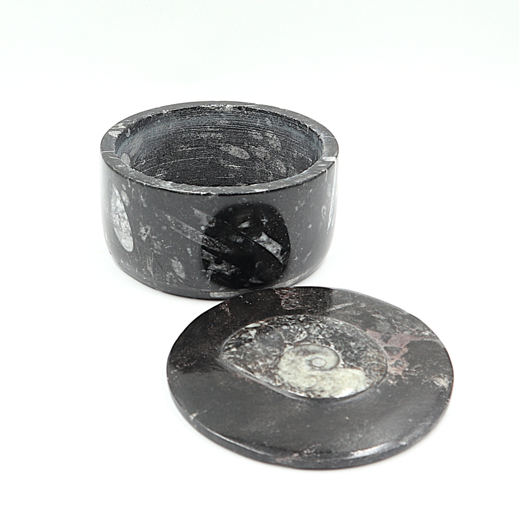 Box Orthoceras en Goniatiet Ø 10 cm