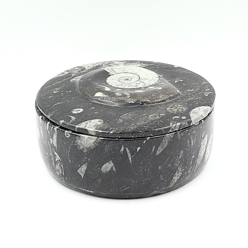 Box Orthoceras en Goniatiet Ø 14 cm