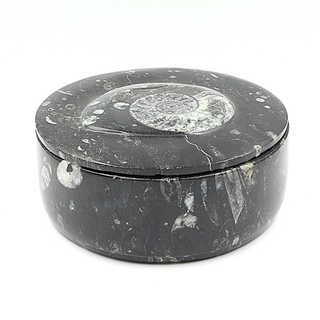 Box Orthoceras en Goniatiet Ø 14 cm