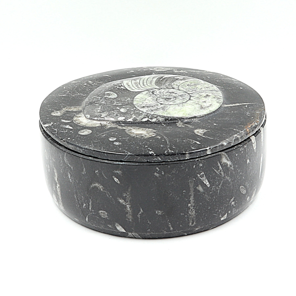 Box Orthoceras en Goniatiet Ø 14 cm