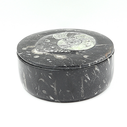 Box Orthoceras en Goniatiet Ø 14 cm