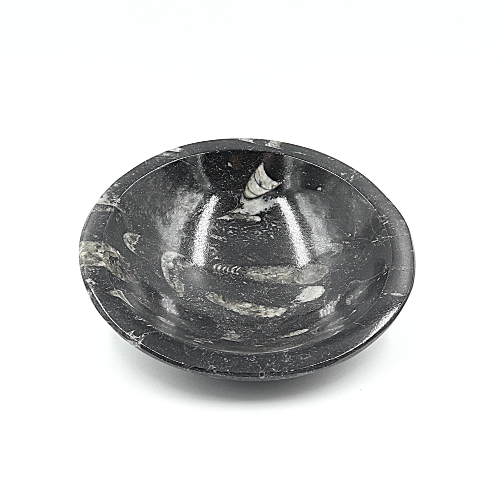 Orthoceras fossiel schaaltje Ø 12 cm